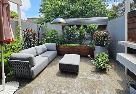 Fitzroy Courtyard by Botanical Traditions